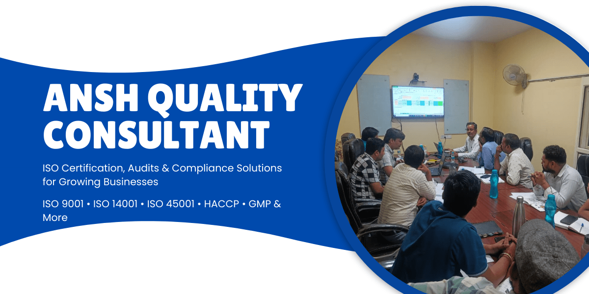 ansh quality consultants